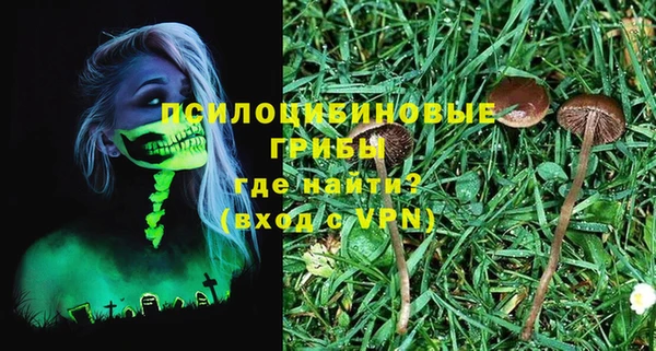бошки Аркадак