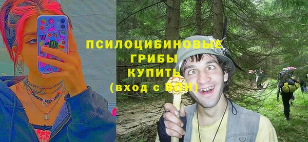 крисы Балабаново