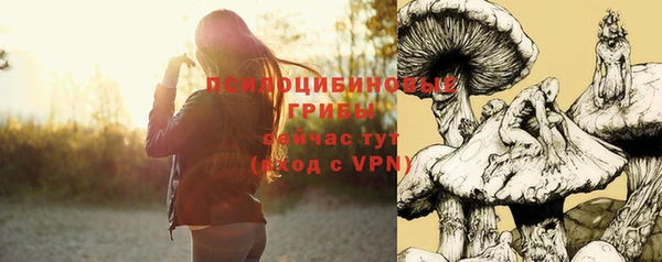 крисы Балабаново