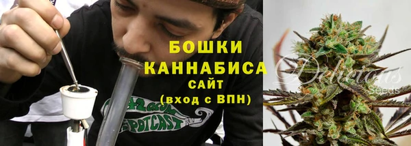 бошки Аркадак